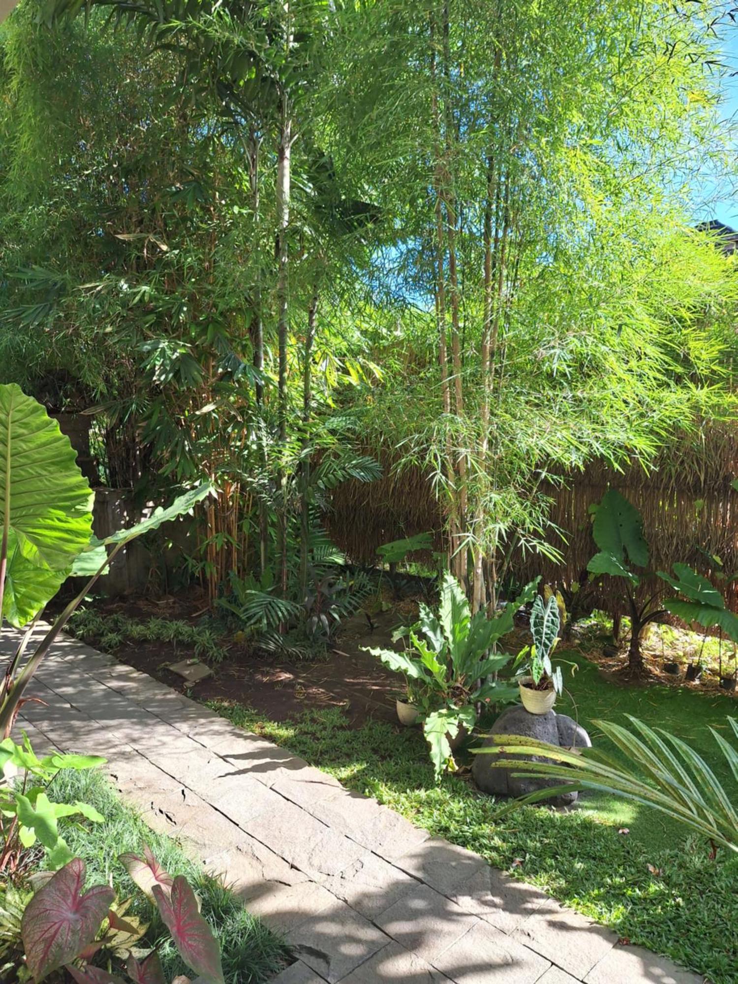 Kasapa Inn Ubud Buitenkant foto