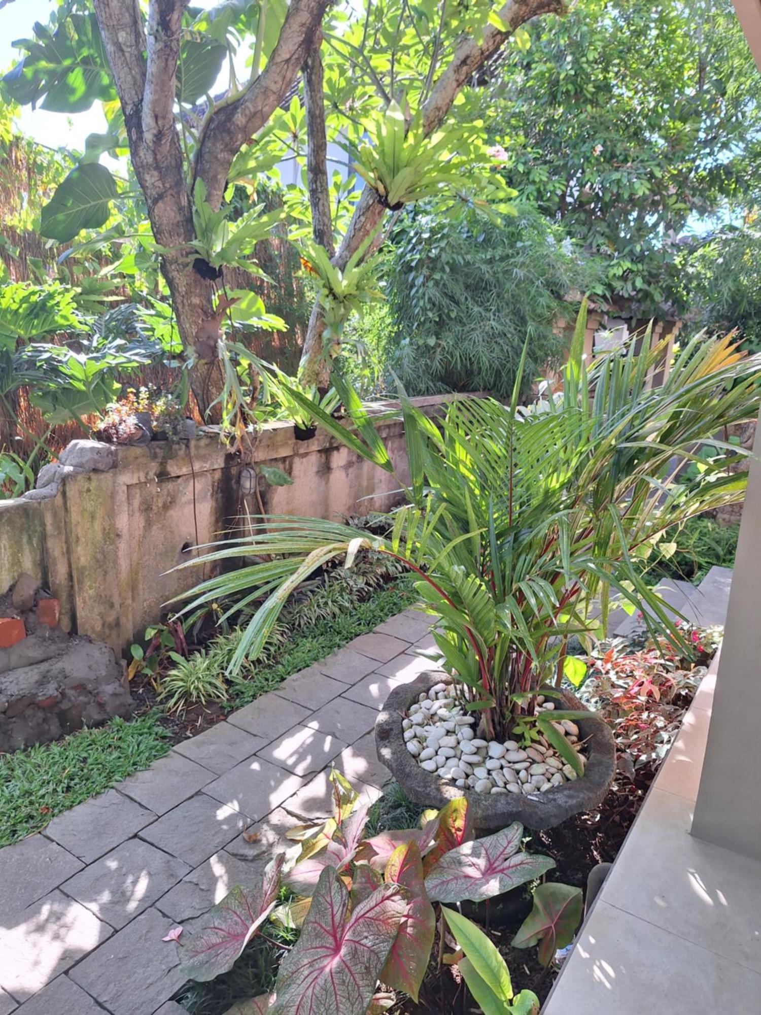 Kasapa Inn Ubud Buitenkant foto
