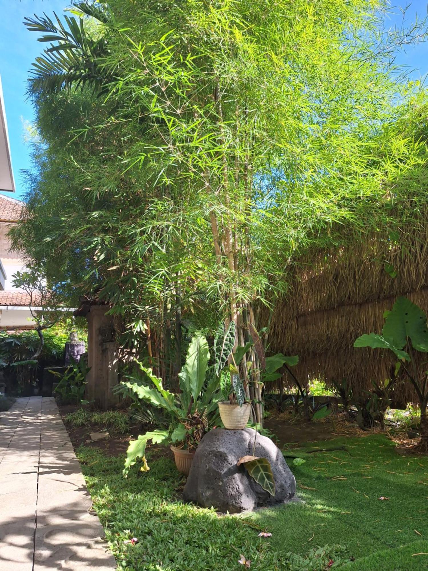 Kasapa Inn Ubud Buitenkant foto